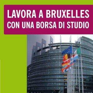 Lavora a Bruxelles con una "Borsa di Studio"